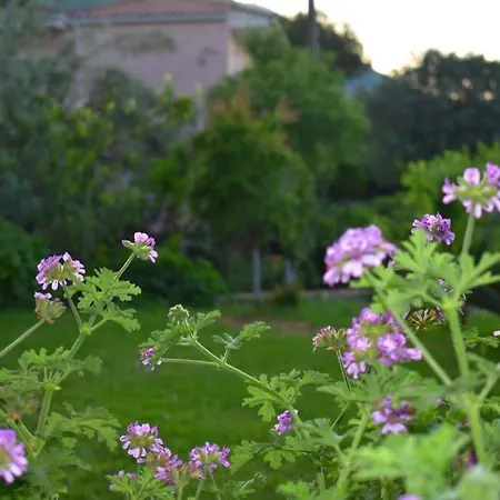 Sunset Lefkas * 圣爱奥尼斯米科