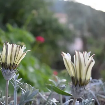 Sunset Lefkas Holiday home *