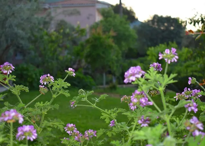 Sunset Lefkas * 圣爱奥尼斯米科